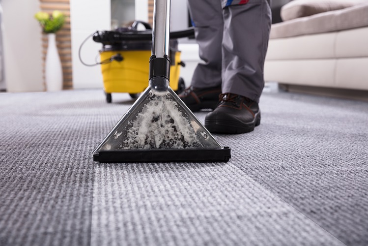 Importance Of Professional Carpet Cleaning Service Singapore