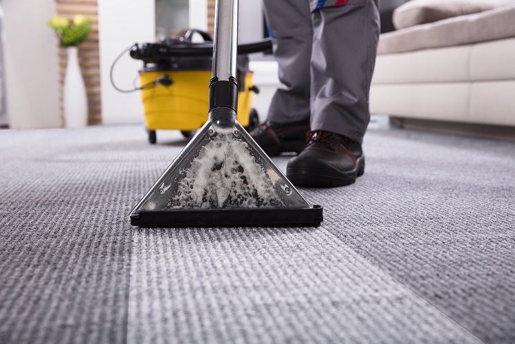 Carpet Cleaning Service Louisville